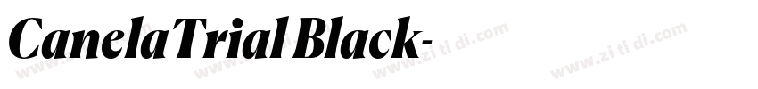 CanelaTrial Black字体转换